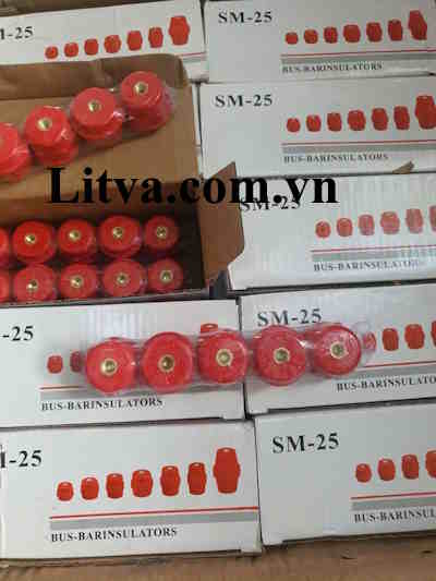 Sứ đỡ đồng thanh cái cách điện 25M